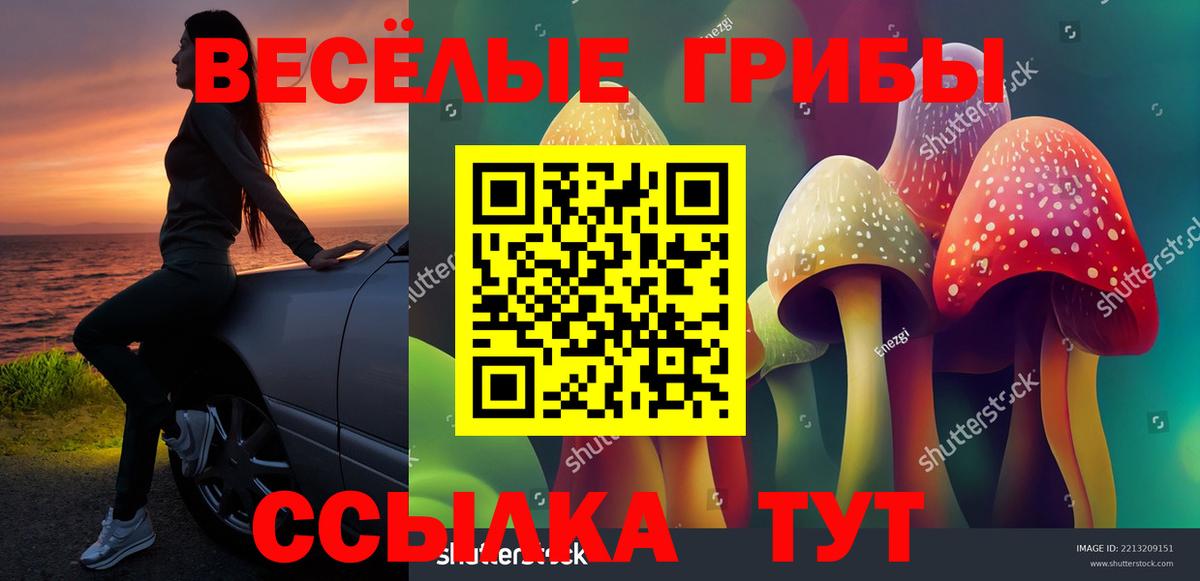 Галлюциногенные грибы ЛСД Добрянка